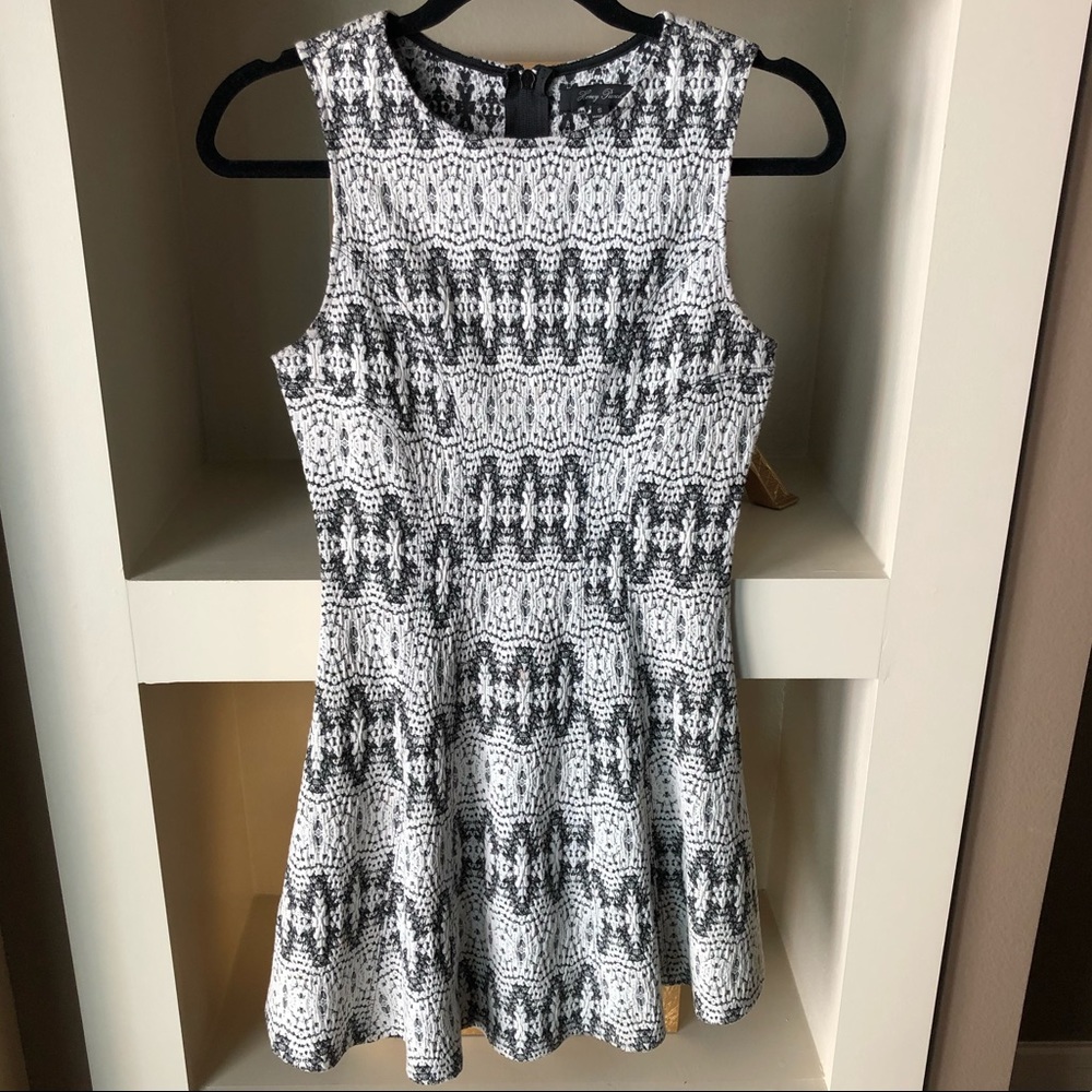 Honey Punch A-Line Black and White Dress